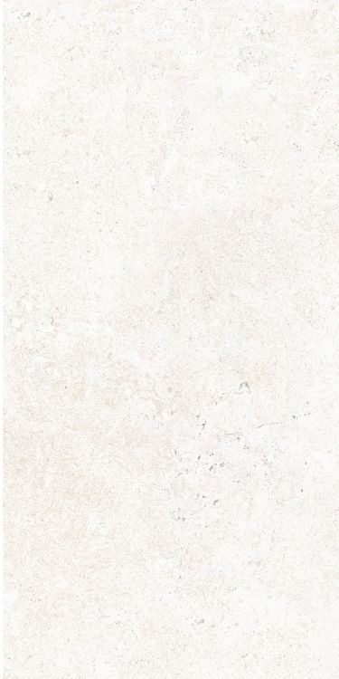 OL Limestone Bianco Matte 12 x 24